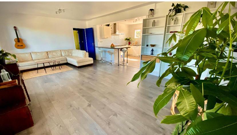 Отель Sewa Surf House 10Min De Capbreton Hossegor Benesse-Maremne Экстерьер фото